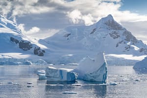 La Antártida no recupera todo el hielo que pierde y preocupa a los especialistas