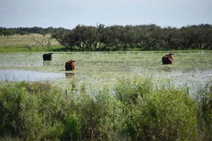 La hacienda no tiene lugares seguros por el avance del agua