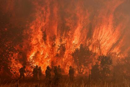 Los bomberos trabajan en el lugar de un incendio forestal en Pumarejo de Tera, cerca de Zamora, en el norte de España, el 18 de junio de 2022. Los bomberos lucharon contra varios incendios en España, uno de los cuales devastó casi 20.000 hectáreas de tierra, durante una ola de calor extremo que azotó al país, con picos de 43 grados.