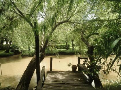 Fotos desde el celular