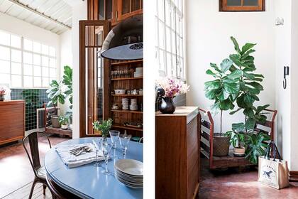 Zorra comprada a un ex empleado del ferrocarril. Mueble con frente de persiana heredado. Ficus pandurata (Tou Tou Galpón). Macetas de mimbre (Puerto de Frutos) y de cerámica hecha por Verónica. Azulejos a pedido (Carabath).