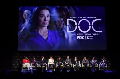 FOX también lanzó una serie inspirada en la vida de Pier en enero de 2025, "que explora temas de identidad, pérdida y redescubrimiento", dijo