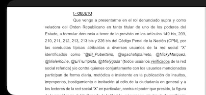 Fragmento de la denuncia, compartido por la diputada en la red social X