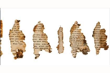 Fragmento del pergamino del Templo, conservados en el Museo de Israel