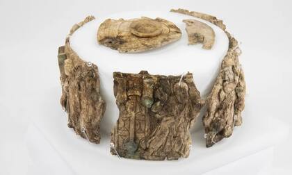 Fragmentos de marfil del copón dispuestos en círculo sobre fondo blanco