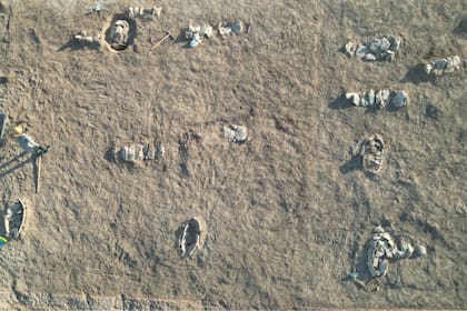 Fragmentos del cementerio con las 40 tumbas halladas al lado de la ciudad perdida