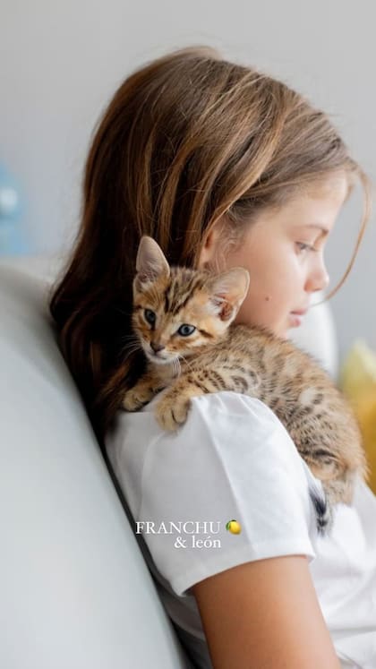 Francesca nombró León a su nuevo gatito (Foto: Instagram @wanda_nara)