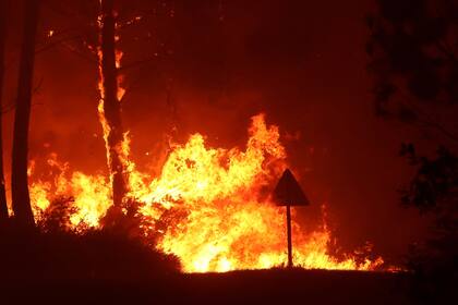 Una imagen tomada el 11 de agosto de 2022 muestra árboles ardiendo en un incendio forestal cerca de Belin-Beliet, en el suroeste de Francia. 