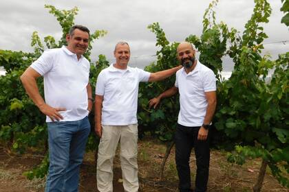 Francisco Canatta, gerente de finca, Juan Ruedin, gerente general y Santiago enólogo de Veralma.