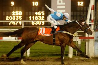 Turf: Firmamento puso el broche a las Carreras de las Estrellas con dos triunfos