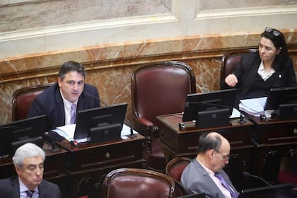 Francisco Paoltroni adelantó que votará a favor