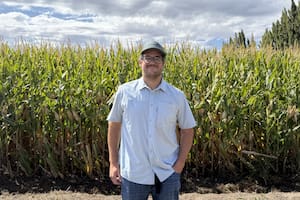 Una provincia cuenta con las dos condiciones ideales para un cultivo y vive un boom