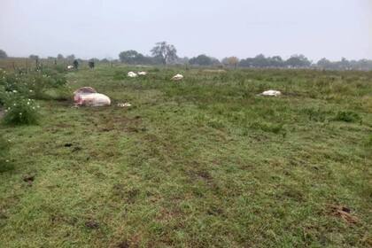 Francisco Pozzi, propietario del campo asaltado, señaló que la situación de inseguridad ha empeorado en los últimos meses y que muchos productores se sienten desprotegidos