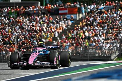 Franco Colapinto debe intentar sumar puntos en Alpine