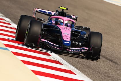 Franco Colapinto inicia una temporada de la Fórmula 1 desde la primera fecha por primera vez