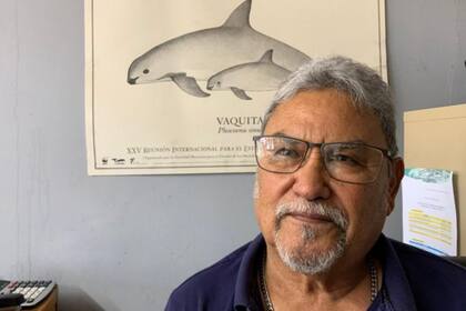 Franco Díaz dice que es muy peligroso interferir con quienes pescan totoaba de manera ilegal