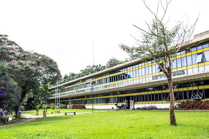 Franco trabajó durante tres años en un laboratorio asociado a la Universidad de San Pablo