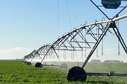 Francois instaló equipos de riego en 320 hectáreas, con cinco posiciones