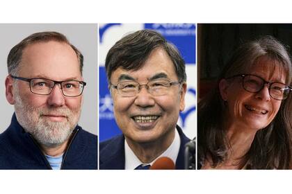 Fred Ramsdell, Shimon Sakaguchi y Mary E. Brunkow