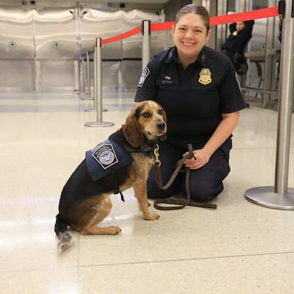 Freddie, el perro de la CBP golpeado por un ciudadano egipcio
