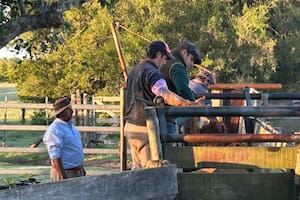 Un problema que no distingue fronteras ni especies