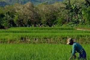 CAF vislumbra un rol clave para América Latina, pero advierte por limitantes estructurales