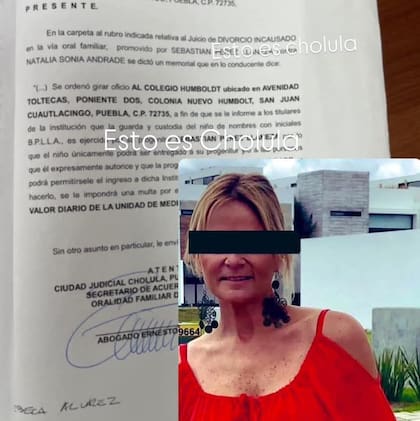 Frente a las versiones que remiten que el hijo de 11 años de Natalia Andrade está desaparecido, apareció un documento judicial que acreditaría que el menor está bajo la custodia de su padre