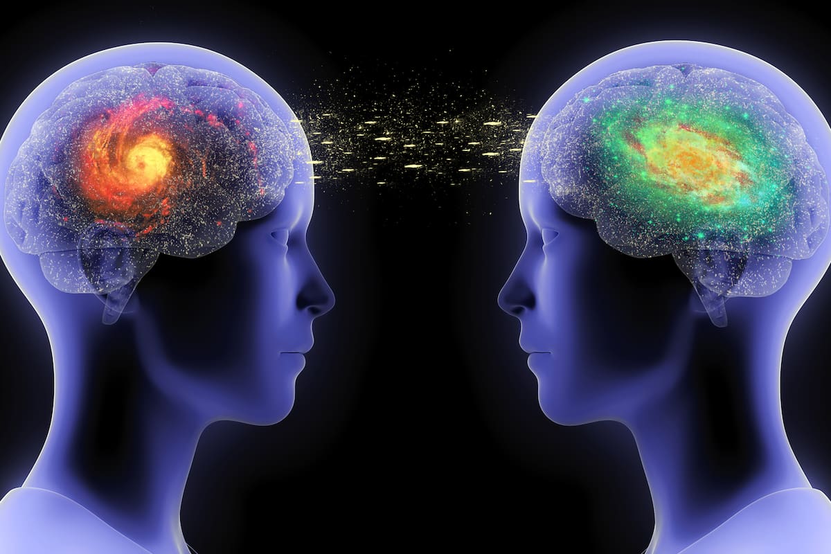 Qué le pasa al cerebro que no podés controlar las reacciones impulsivas - LA NACION