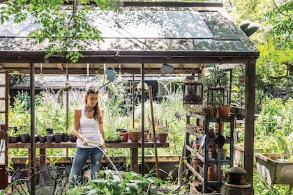 Frescas y fragantes, las primeras horas de la mañana son el mejor momento para contemplar el jardín. Y también para investigarlo y trabajarlo. Una linda motivación para arrancar temprano.