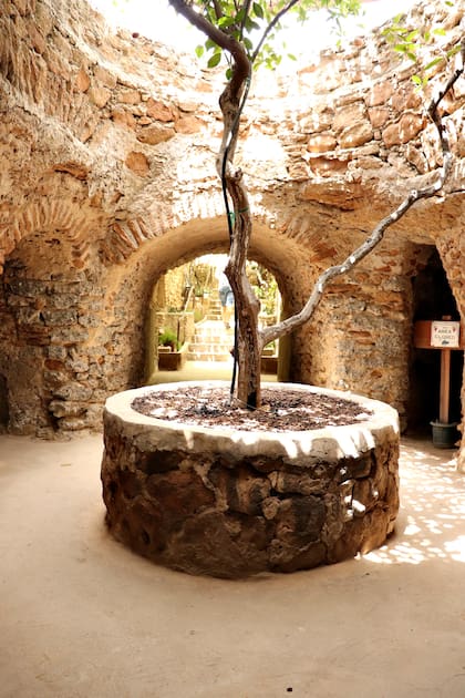 En Fresno, California, los jardines de Forestiere son un espectáculo único