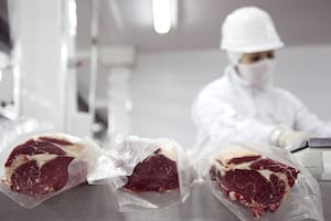 Diez empresas se quedaron con casi el 61% de la cuota Hilton para exportar carne a Europa