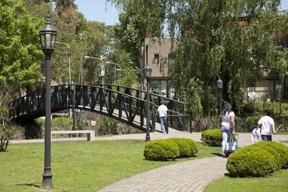 Frondosa vegetación en un ámbito renovado y pujante