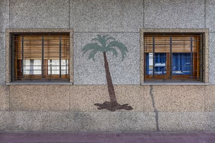 Frente con palmera en Parque Patricios (2018)
