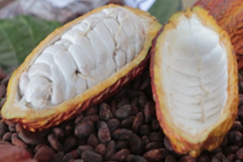 Innovación nutricional: el potencial de los subproductos del maní y cacao en la alimentación animal