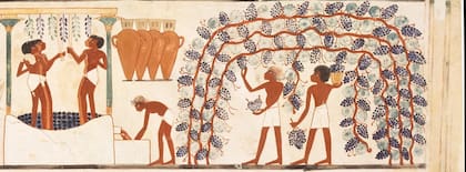 Mural en la tumba de Nakht en Tebas, Egipto, ca. 1425-1350 a.C., dinastía XVIII. Este fragmento representa el proceso de elaboración del vino