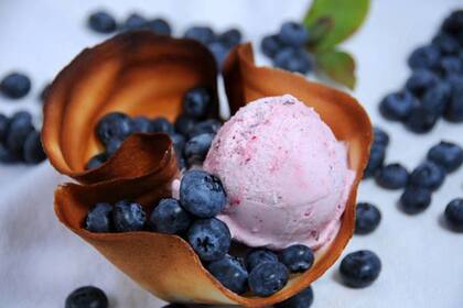 Arándanos para disfrutar