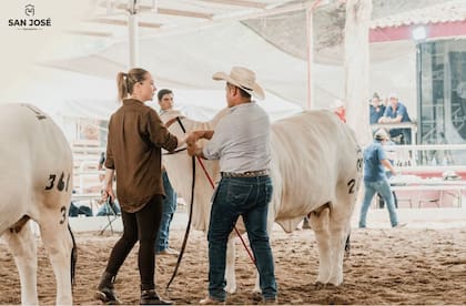 “Fue amor a primera vista”: así recuerda Lucyana su primer contacto con el mundo ganadero