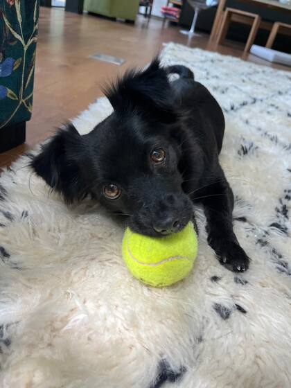 "Fue difícil sacarla de Indonesia".