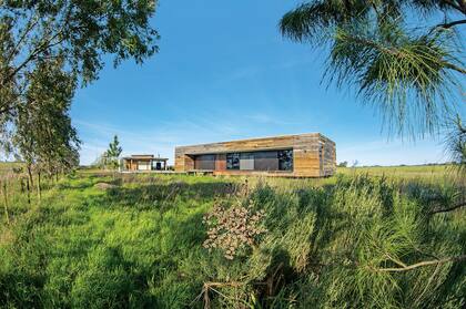 Fue un logro despegar la vivienda un metro del suelo y trazar cubiertas de una pendiente tal que se percibiera el volumen de proporciones rectas.