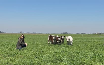 Fue Valeria, su mujer la que le insistió que traiga a la Argentina la raza Speckle Park