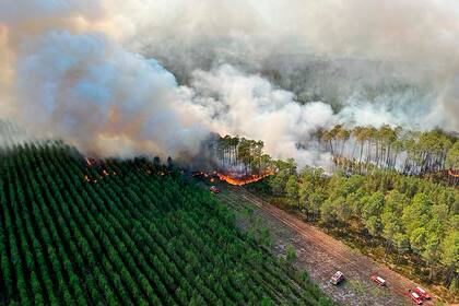 Vista del incendio forestal cerca de Landiras, en el suroeste de Francia