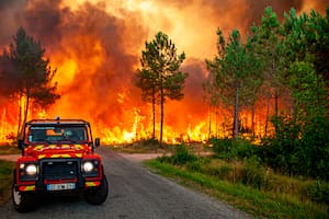 Imágenes impactantes de los incendios en Europa por la ola de calor