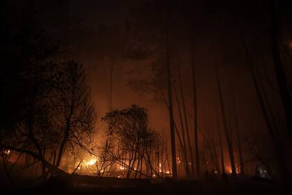Miles de hectáreas fueron arrasadas por el fuego