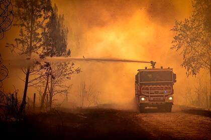 Cientos de bomberos trabajan para combatir los incendios 