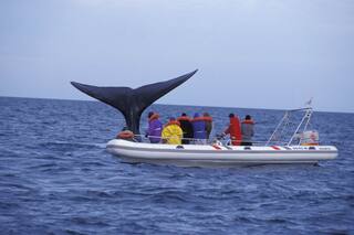 Qué tenés que saber para poder disfrutar del último fin de semana largo en el sur