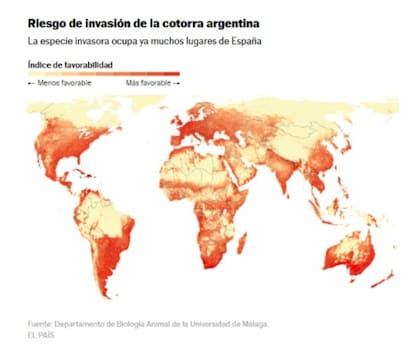 Fuente: EL PAÍS