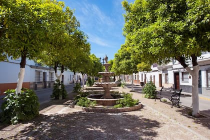 Fuente en la Plaza de Miguel Rodríguez Rivera, peatonal y con diseño alargado.
