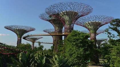 Fuente: GETTY IMAGES. "Singapur no es una ciudad limpia, es una ciudad que se limpia", dice Liak Teng Lit, presidente de la Agencia Nacional del Medio Ambiente.