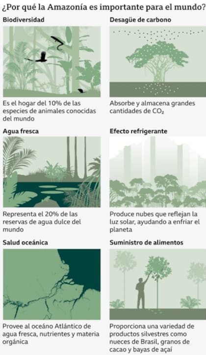 Fuente: Importancia global de las aguas dulces amazónicas (Jenkis, 2025), WWF, BBC Research