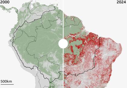 Fuente: RAISG, Global Forest Watch